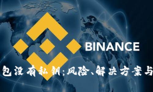 比特币钱包没有私钥：风险、解决方案与使用指南
