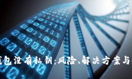 比特币钱包没有私钥：风险、解决方案与使用指南