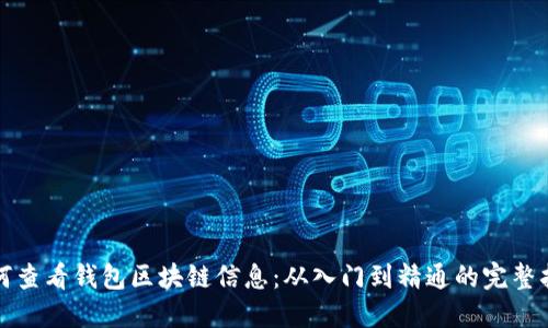 如何查看钱包区块链信息：从入门到精通的完整指南