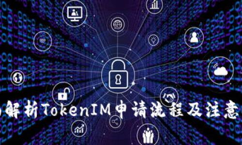 全面解析TokenIM申请流程及注意事项