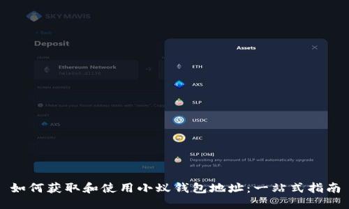 如何获取和使用小蚁钱包地址：一站式指南