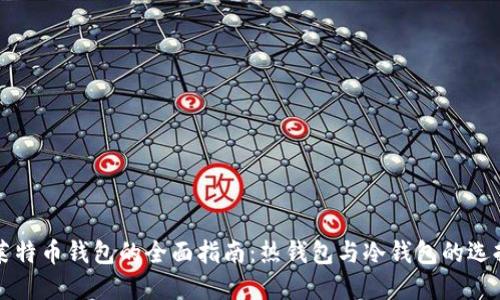 莱特币钱包的全面指南：热钱包与冷钱包的选择