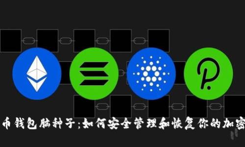 比特币钱包脑种子：如何安全管理和恢复你的加密资产