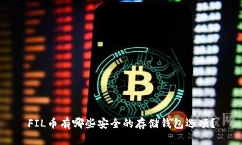 FIL币有哪些安全的存储钱包选项？