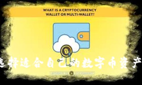 如何选择适合自己的数字币资产钱包？