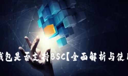 小狐钱包是否支持BSC？全面解析与使用指南