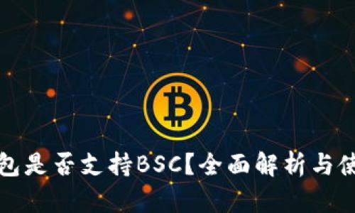 小狐钱包是否支持BSC？全面解析与使用指南