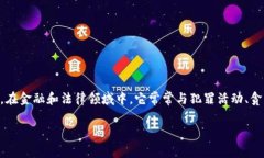 黑暗包（通常指“黑钱包